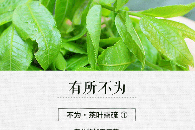 野生-青钱柳茶-原叶茶-辅助降糖-100g罐_13.gif